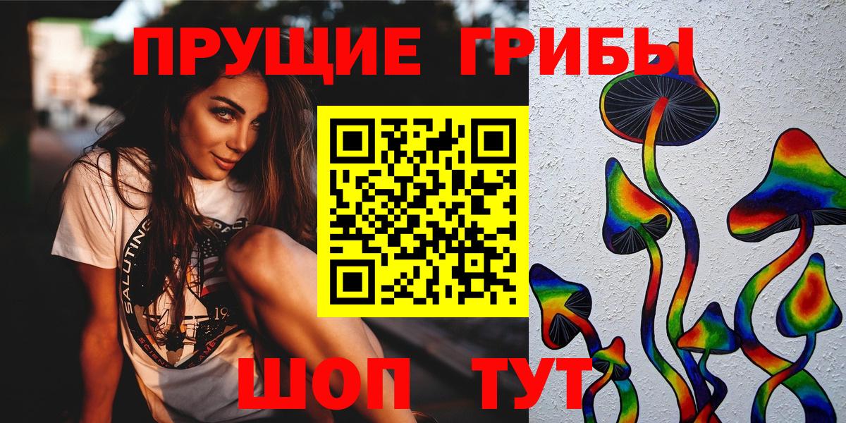 Галлюциногенные грибы Cubensis Гатчина