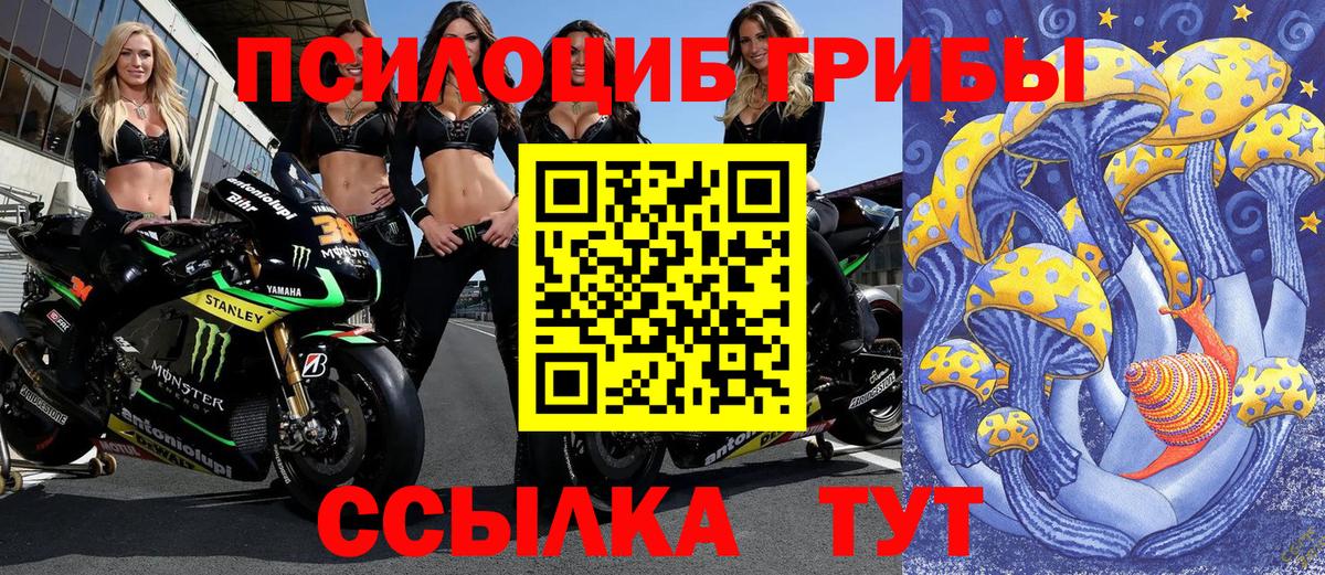 магазин  наркотиков  Галлюциногенные грибы прущие грибы  Вход с VPN  Гатчина 